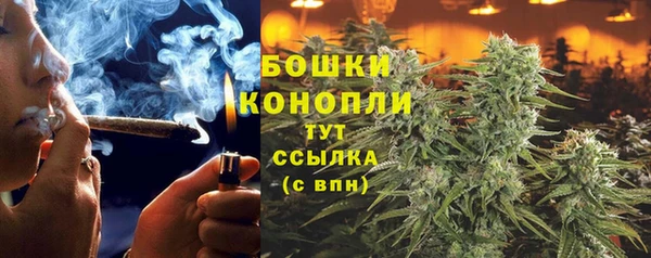 наркотики Белокуриха