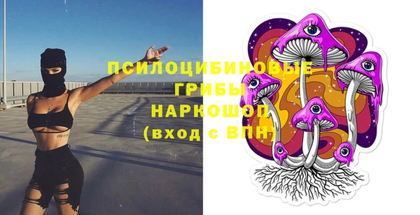 наркотики Белокуриха
